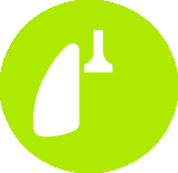 icon depicting a lung