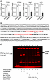 Impact of Tfeb on transcription of VPS34.