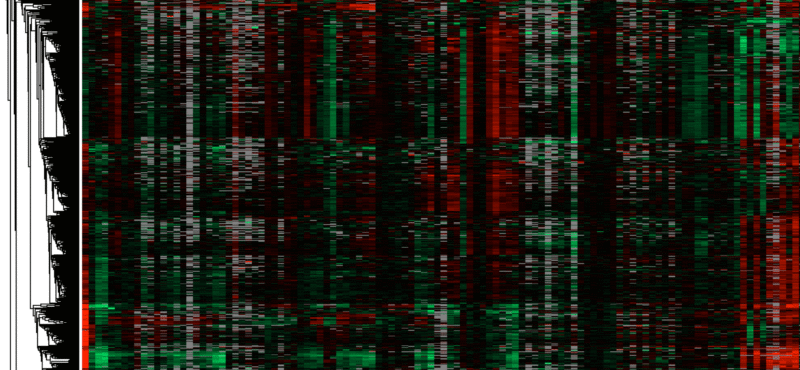 iPOND identifies replication fork proteomes. Hierarchical clustering of mass spectrometry data provide insights into how protein complexes are regulated and identifies new fork-associated proteins.