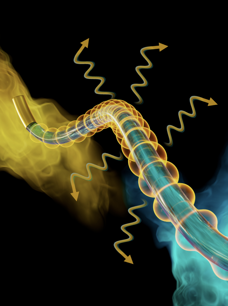 Vanderbilt University