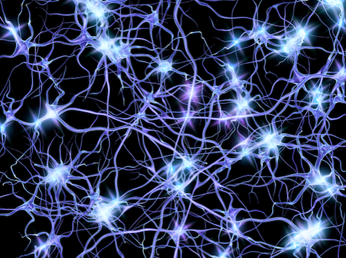 Vanderbilt University