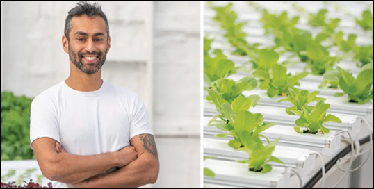 Vanderbilt University