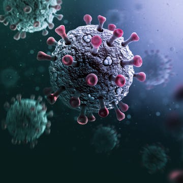 Coronavirus coronavirus