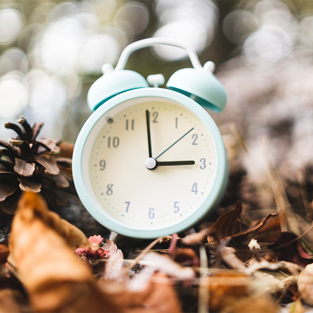 Clock in the fall leaves