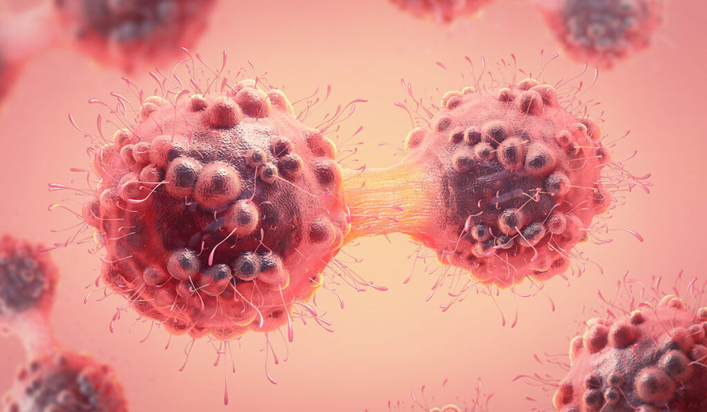 illustration of mitosis in shades of red/pink