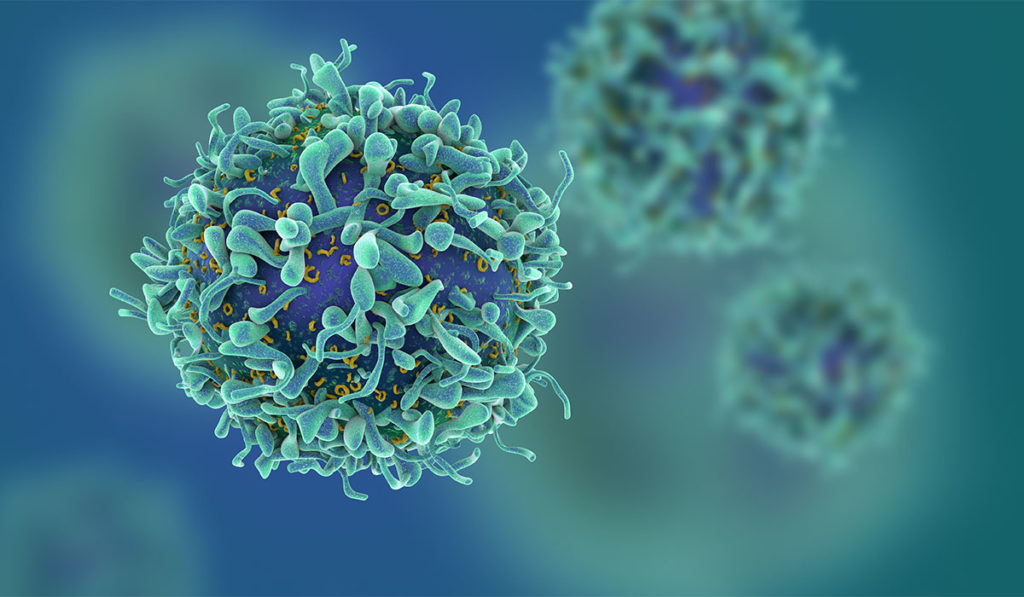 Computer-generated rendering of T cells