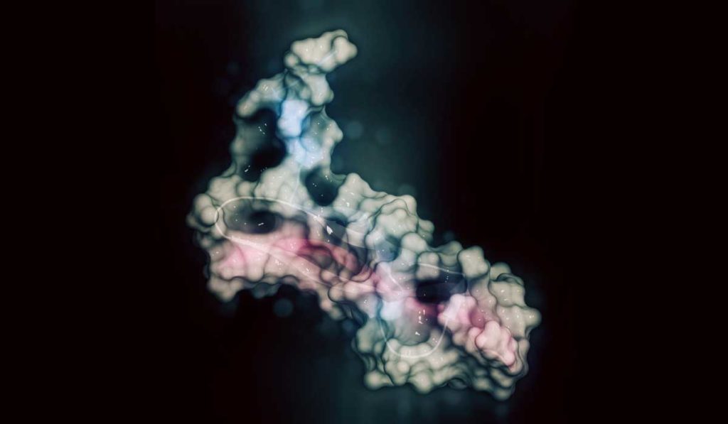 Microscopic close-up of a regenerating RPE cell.