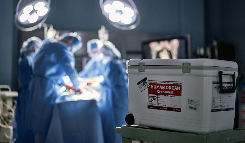 Cooler that reads "human organ for transplant" is in focus in a surgical room