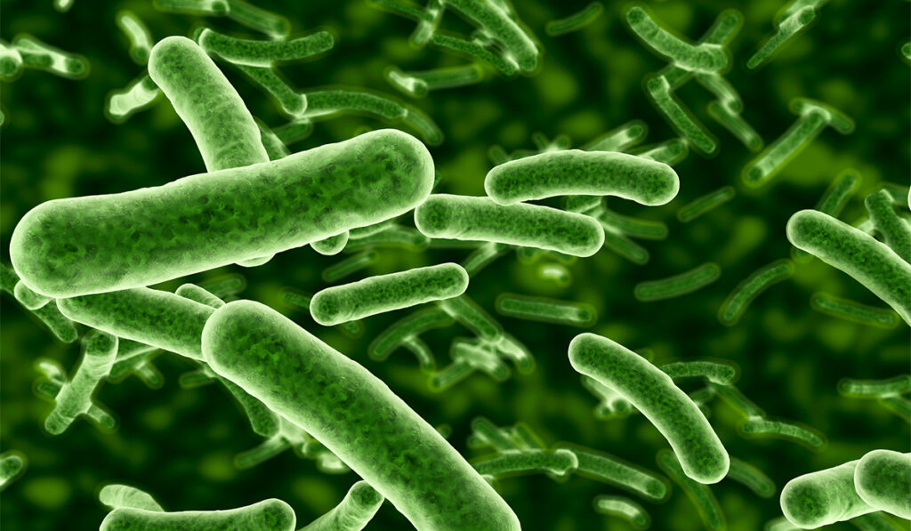 Illustration of floating bacteria