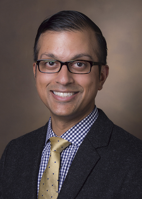 Portrait of Dr. Sekhar