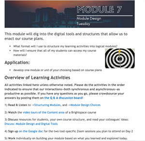 IRIS Module in Brightspace that highlights modules, learning objectives, content, assessment, and learning activity.