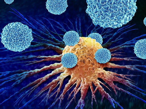 Boosting the Immune Response to Cancer