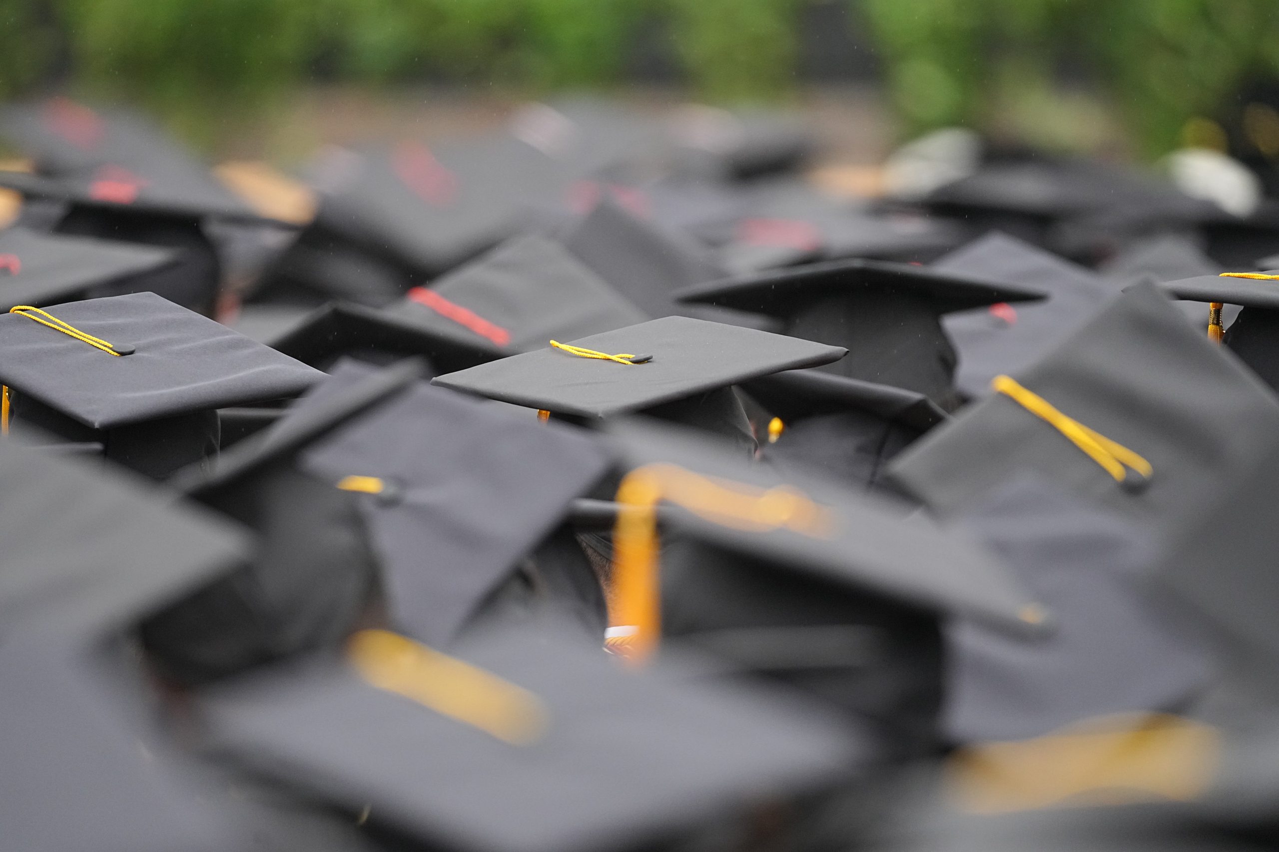 a collection of mortar boards
