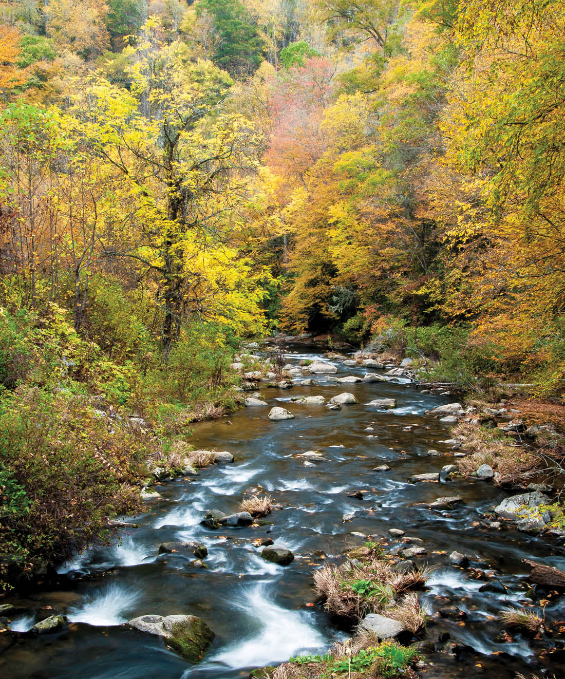 Vanderbilt University