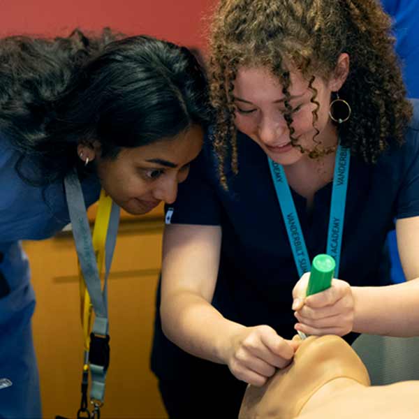 Vanderbilt PTY - Summer