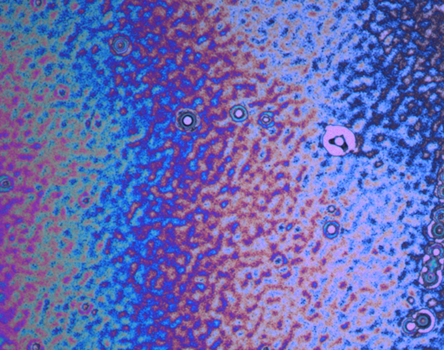 Rain Puddle Reflections