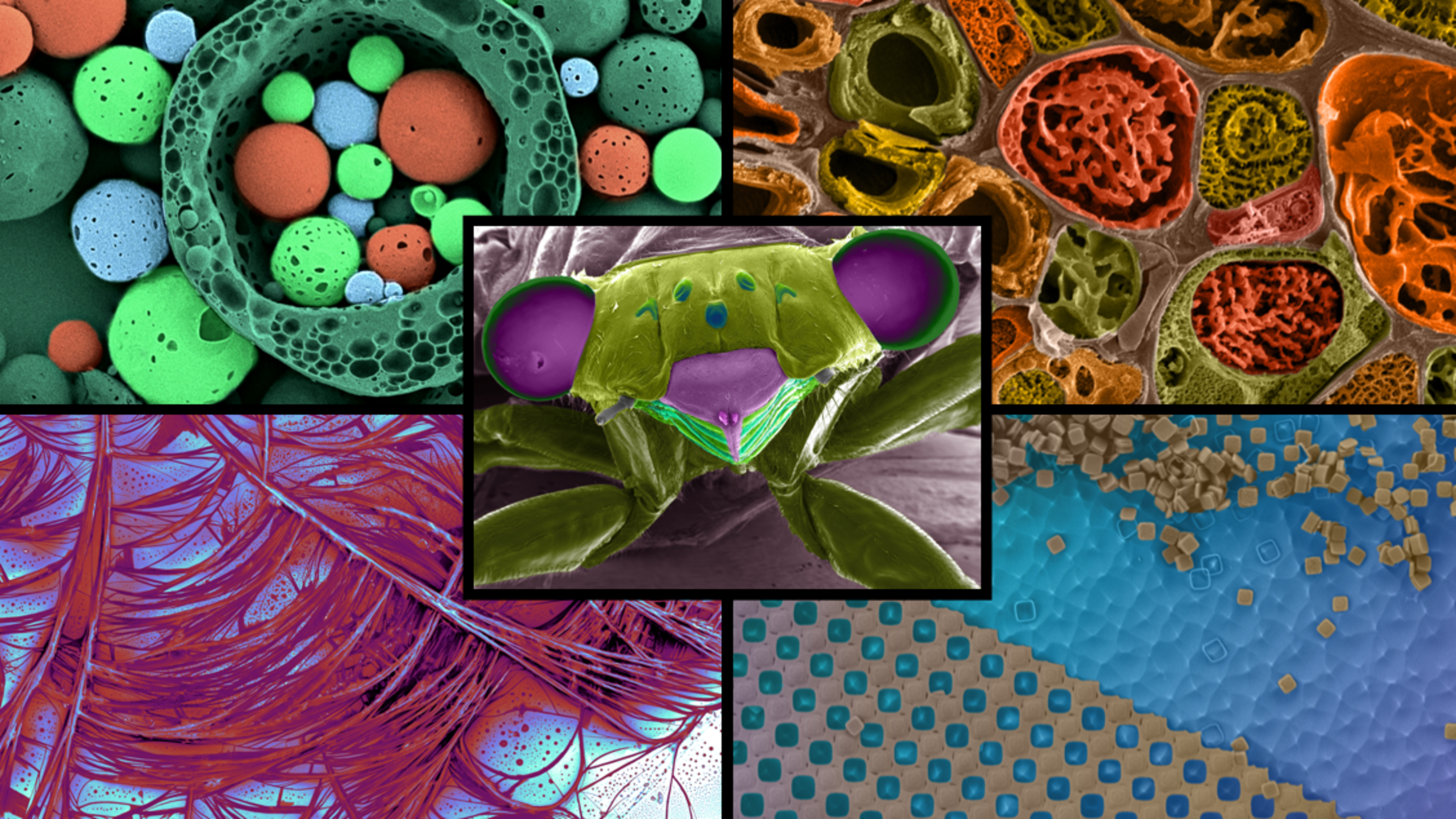 Vanderbilt University