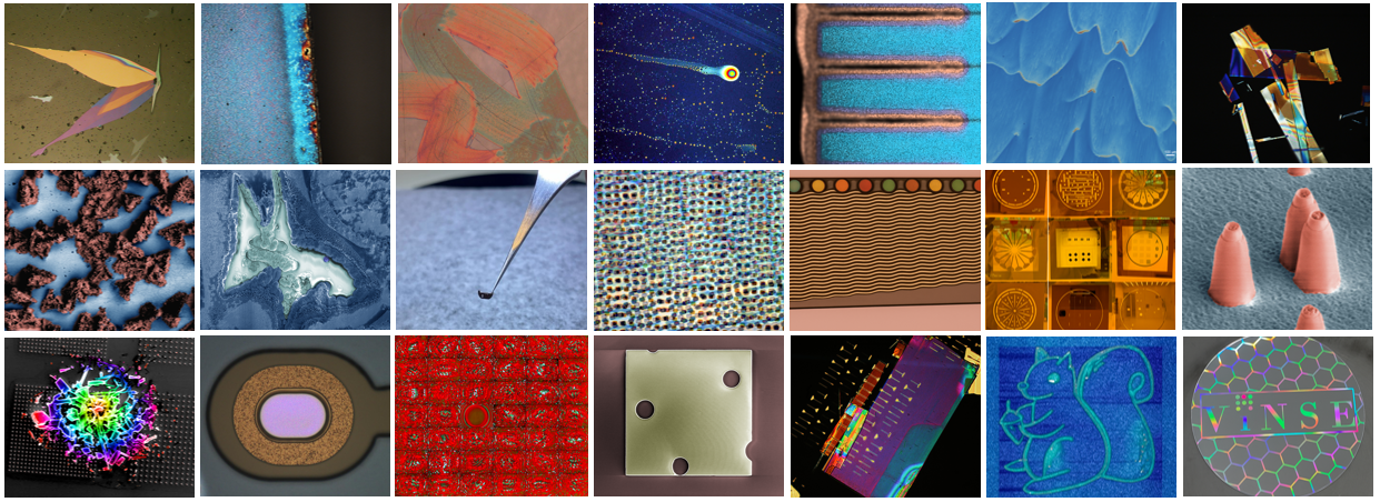 Vanderbilt University