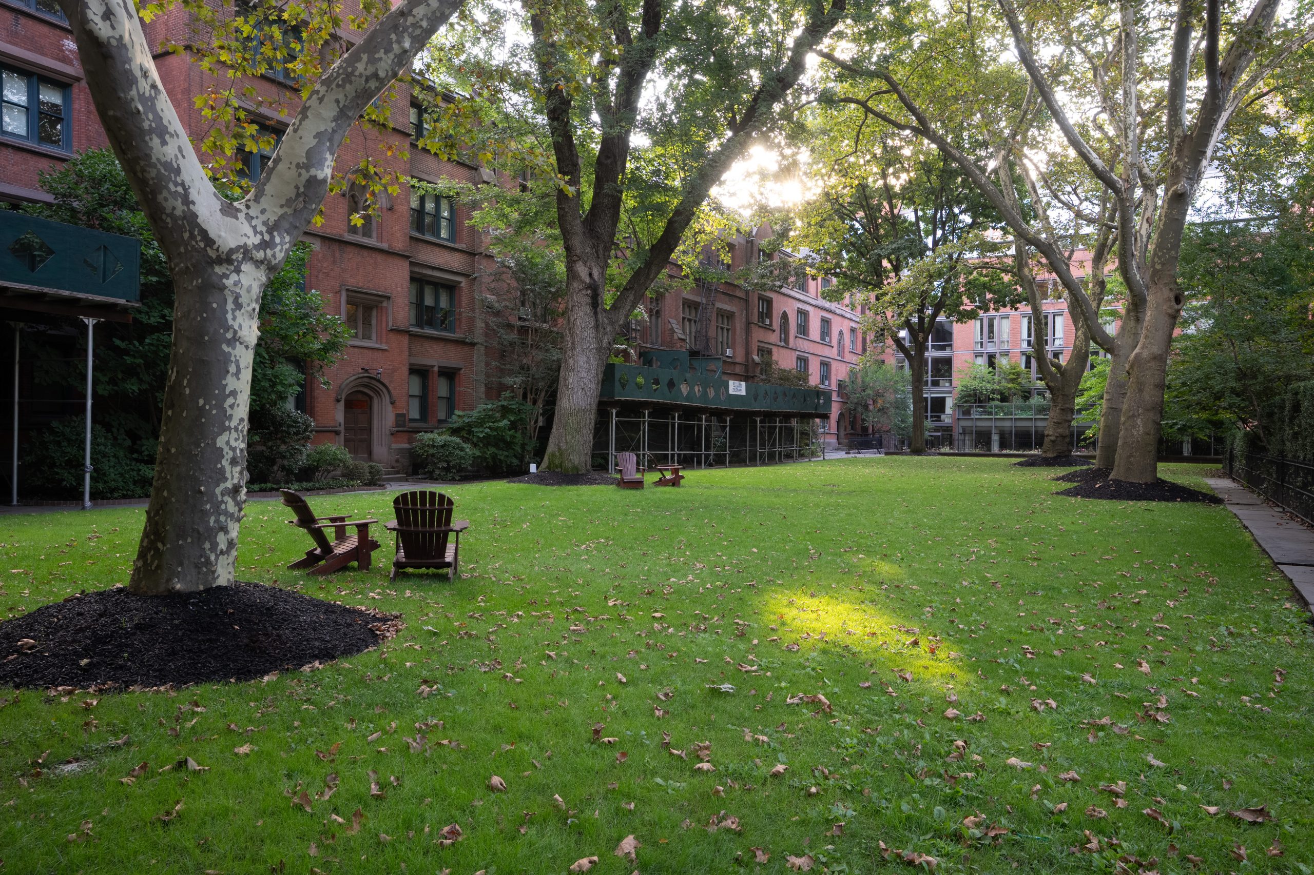 Grassy courtyard at Vanderbilt NYC Campus