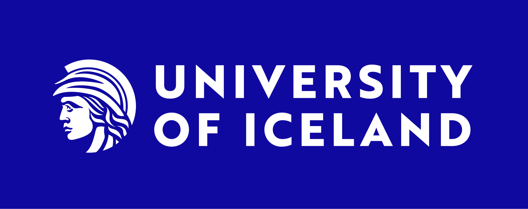 University Of Iceland 