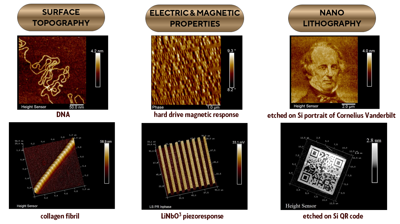Vanderbilt University