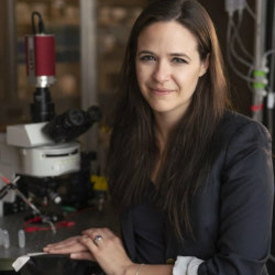 Summit Moderator: Erin Calipari