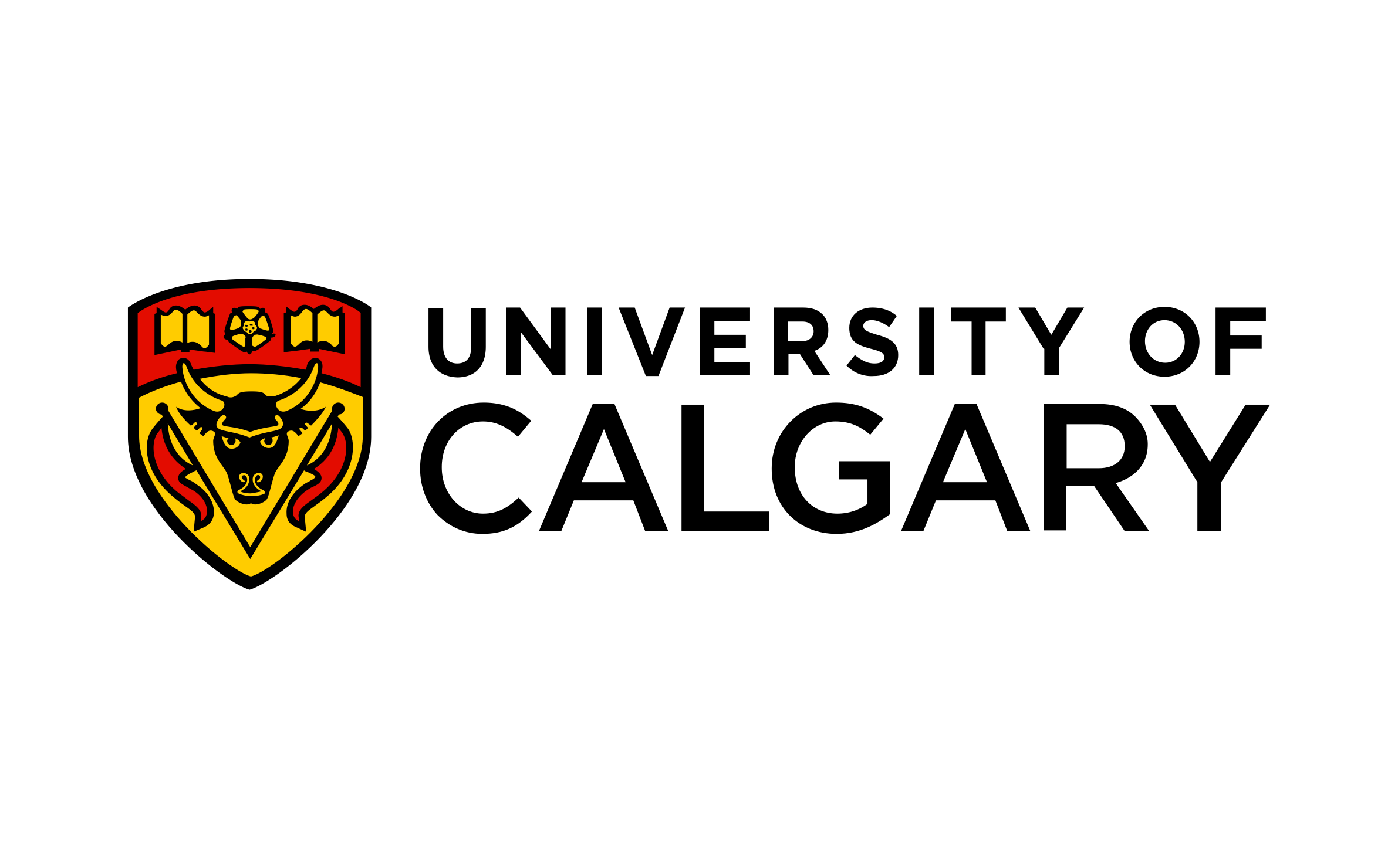 University of Calgary 