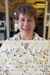 SandraRosenthal Sandra Rosenthal