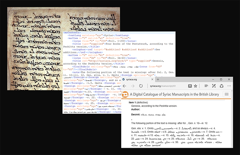 Vanderbilt University