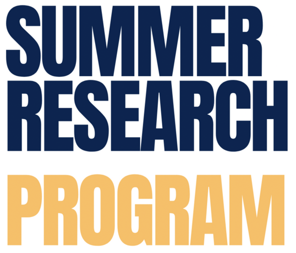 Summer Research Program