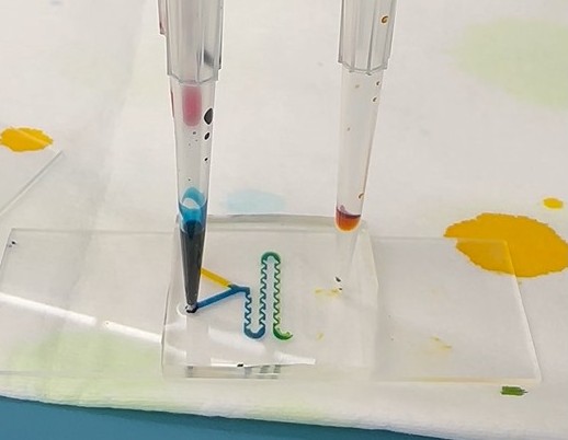 Vanderbilt University