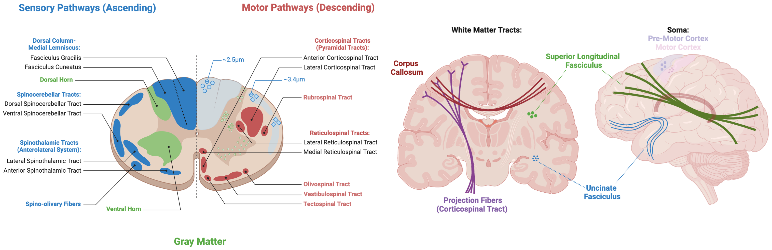 Vanderbilt University