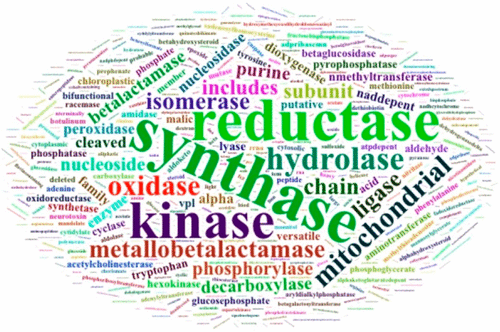 Vanderbilt University