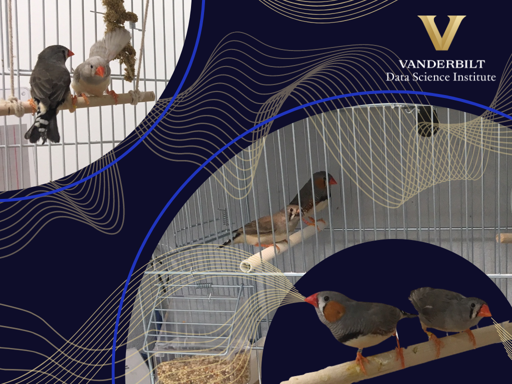 Vanderbilt University