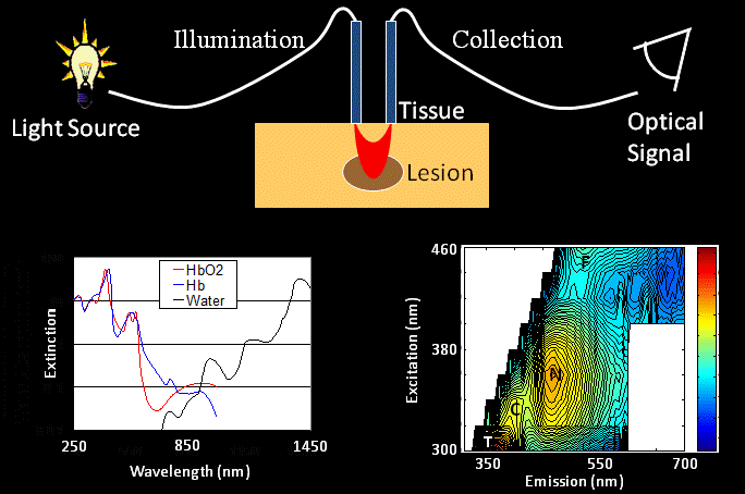 Spectroscopy