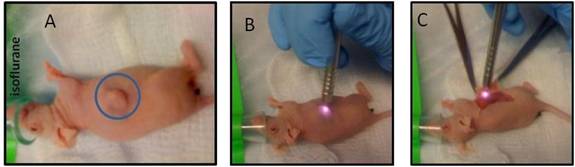 Demostration of Raman probe